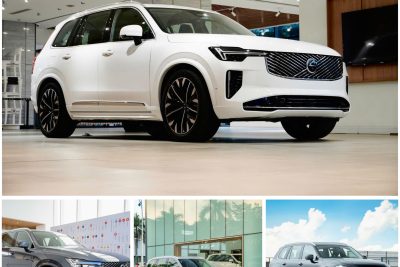 Bảng màu Volvo XC90 2026